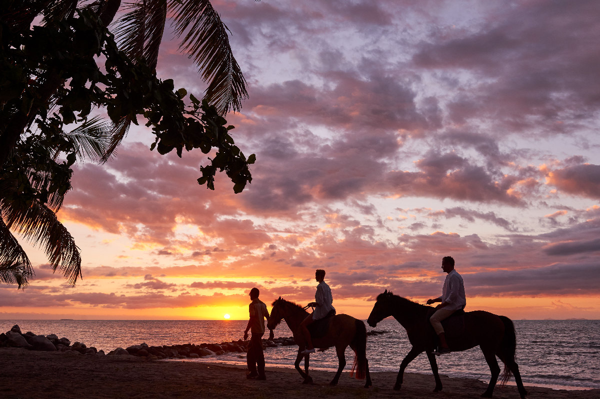 Final Story Behind the Seven – The Horses of Fiji and Ivan Novak