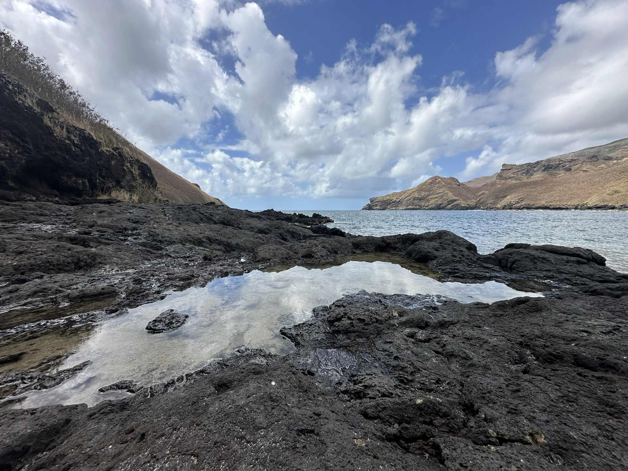 From Tide Pools to Mermaids: The Real-Life Inspiration Behind Seanna